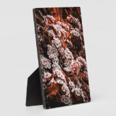 卓上花のプラーク フォトプラーク (側面)