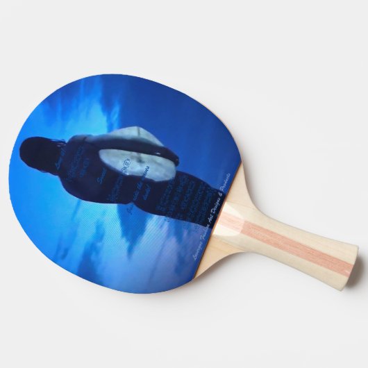 卓球ラケット (横)