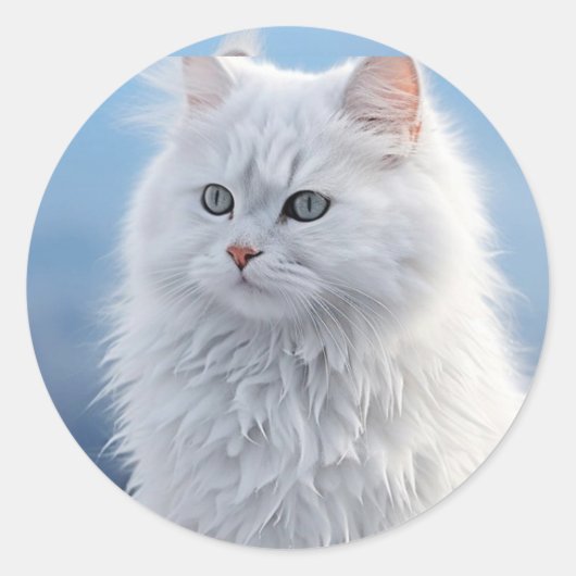 「卓越した輝きを放つ：ユニークデザイン」 ラウンドシール (正面)