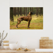 卓越性 ポスター (キッチン)