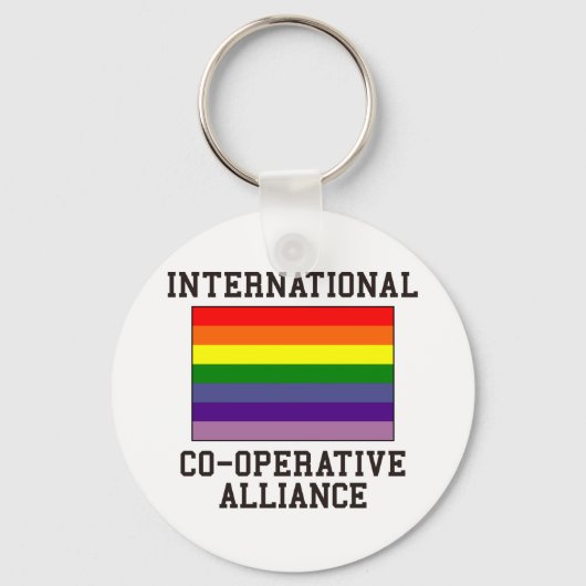 協力連盟国旗 キーホルダー (正面)