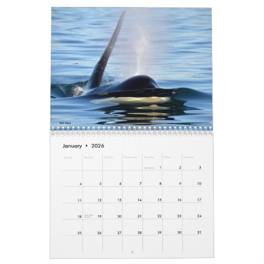 南あるシャチ2016のカレンダー カレンダー (1月 2026)