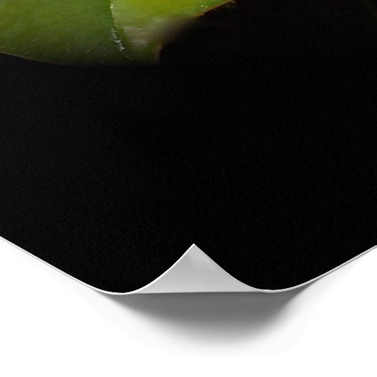 南の何か ポスター (角)