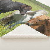 南アイスランド牧場の馬 シェルパブランケット (3/4)