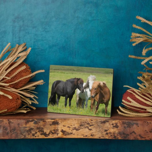 南アイスランド牧場の馬 フォトプラーク (側面)