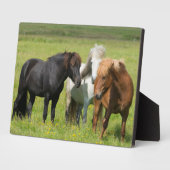 南アイスランド牧場の馬 フォトプラーク (側面)