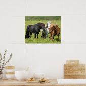 南アイスランド牧場の馬 ポスター (キッチン)