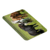 南アイスランド牧場の馬 マグネット (右側)