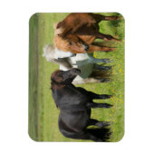 南アイスランド牧場の馬 マグネット (縦)