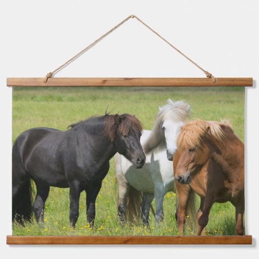 南アイスランド牧場の馬 吊り下げ型タペストリー (正面)