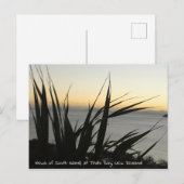 南アイランドのはがきの表示 ポストカード (正面/裏面)