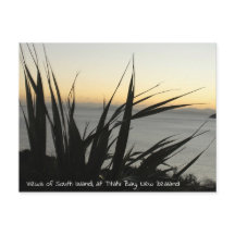 南アイランドのはがきの表示