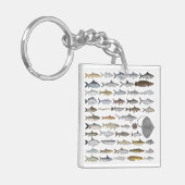 南アジアの淡水魚グループ キーホルダー (正面左)