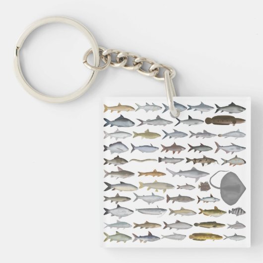 南アジアの淡水魚グループ キーホルダー (正面)