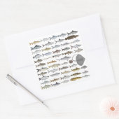 南アジアの淡水魚グループ スクエアシール (封筒)