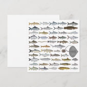 南アジアの淡水魚グループ ノートカード (正面/裏面)