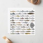 南アジアの淡水魚グループ ノートカード (正面/裏面インサイチュ)