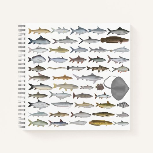 南アジアの淡水魚グループ ノートブック (正面)