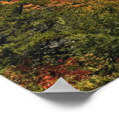 南アパラチア山脈の秋の景色 ポスター (角)