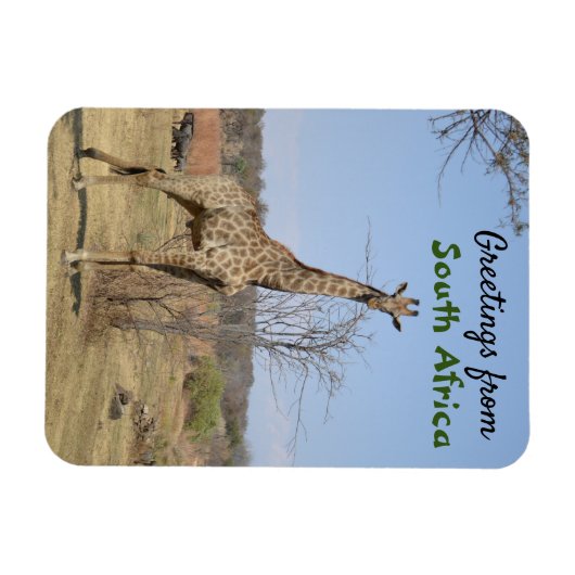 南アフリカからのご挨拶 マグネット (横)