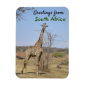 南アフリカからのご挨拶 マグネット (縦)