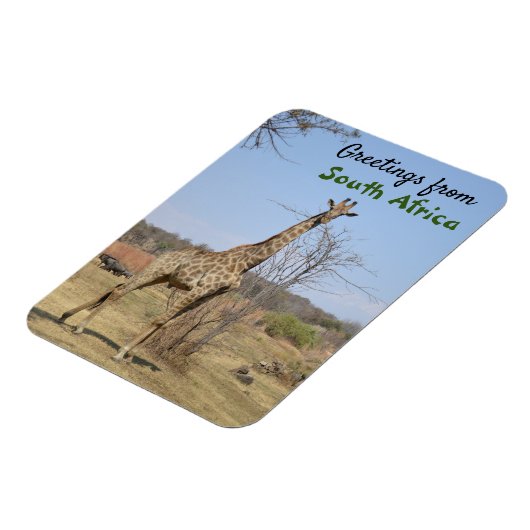 南アフリカからのご挨拶 マグネット (左側)