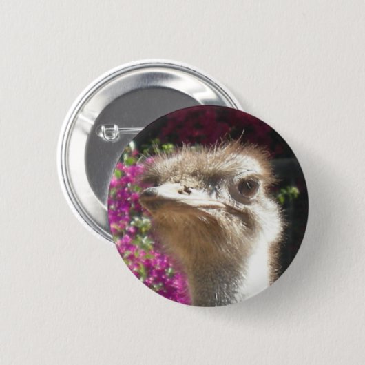 南アフリカのだちょうの顔ボタン 缶バッジ (正面&裏面)