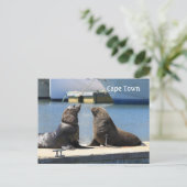 南アフリカのウォーターフロントの毛皮のシール岬 ポストカード (スタンド正面)