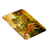 南アフリカのキリン マグネット (右側)