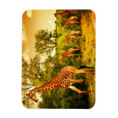 南アフリカのキリン マグネット (縦)