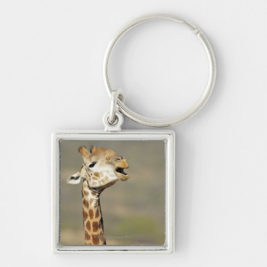 南アフリカのキリン(Giraffaのcamelopardalis キーホルダー (正面)
