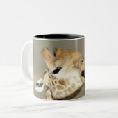 南アフリカのキリン(Giraffaのcamelopardalis ツートーンマグカップ (正面左)