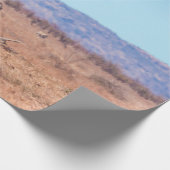 南アフリカのクルーガー国立公園にあるプレーンズゼブラ ラッピングペーパー (角)