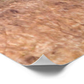 南アフリカのクルーガー国立公園のプレインズシマウマ ポスター (角)