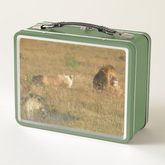 南アフリカのシマウマとライオンズ弁当箱 メタルランチボックス (裏面)