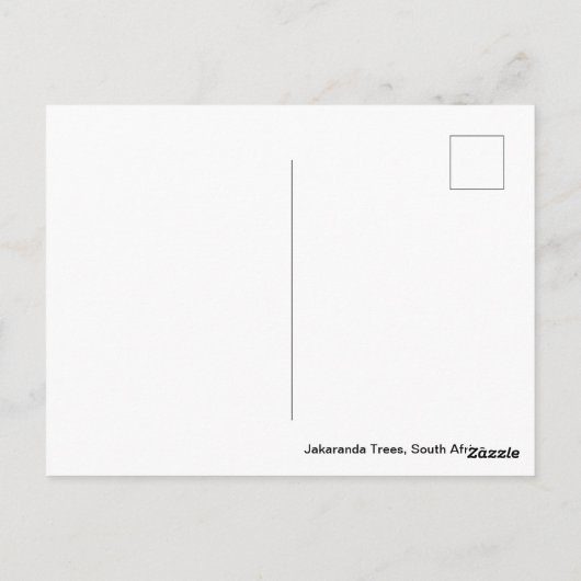 南アフリカのジャカランダ紫の花 ポストカード (裏面)