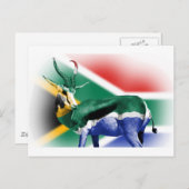 南アフリカのスプリングボック国旗 ポストカード (正面/裏面)