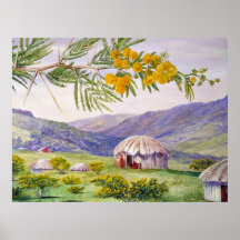 南アフリカのドーンブームとフィンゴハッツ