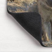 南アフリカのハイエナ マウスパッド (コーナー)