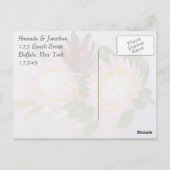 南アフリカのプロテアスに感謝 ポストカード (裏面)