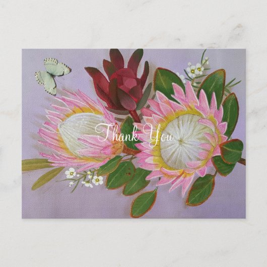 南アフリカのプロテアスに感謝 ポストカード (正面)