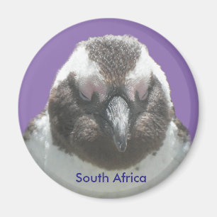 南アフリカのペンギンの顔のカスタマイズ可能な磁石 マグネット