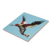 南アフリカの冠をかぶったクレーンは飛行中 タイル (側面)