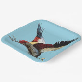 南アフリカの冠をかぶったクレーンは飛行中 ペーパープレート (傾斜あり)