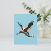 南アフリカの冠をかぶったクレーンは飛行中 ポストカード (スタンド正面)