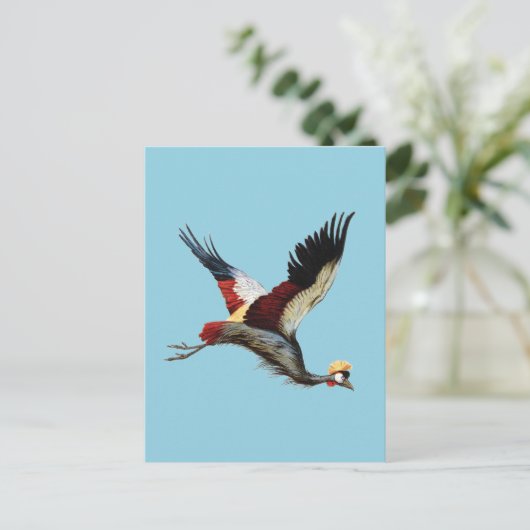 南アフリカの冠をかぶったクレーンは飛行中 ポストカード (スタンド正面)