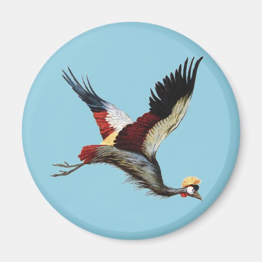 南アフリカの冠をかぶったクレーンは飛行中 マグネット (正面)