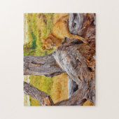 南アフリカの壮大なライオン ジグソーパズル (縦)