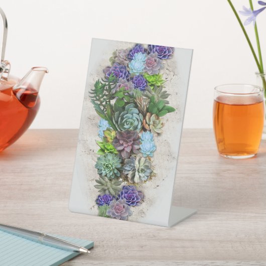 南アフリカの多肉類 台座サイン (インサイチュ)