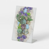 南アフリカの多肉類 台座サイン (正面)